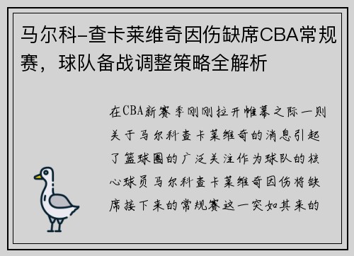 马尔科-查卡莱维奇因伤缺席CBA常规赛，球队备战调整策略全解析
